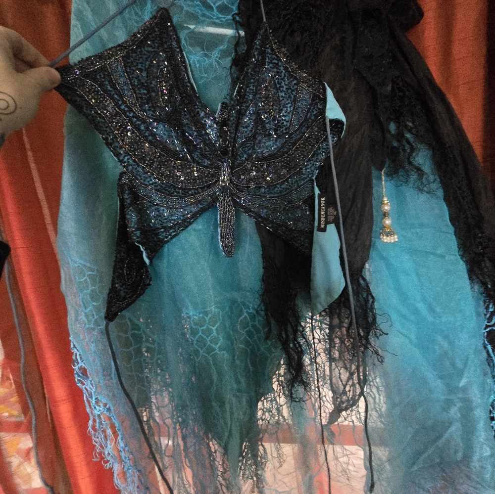 Blue and Black Butterfly Beklydancer